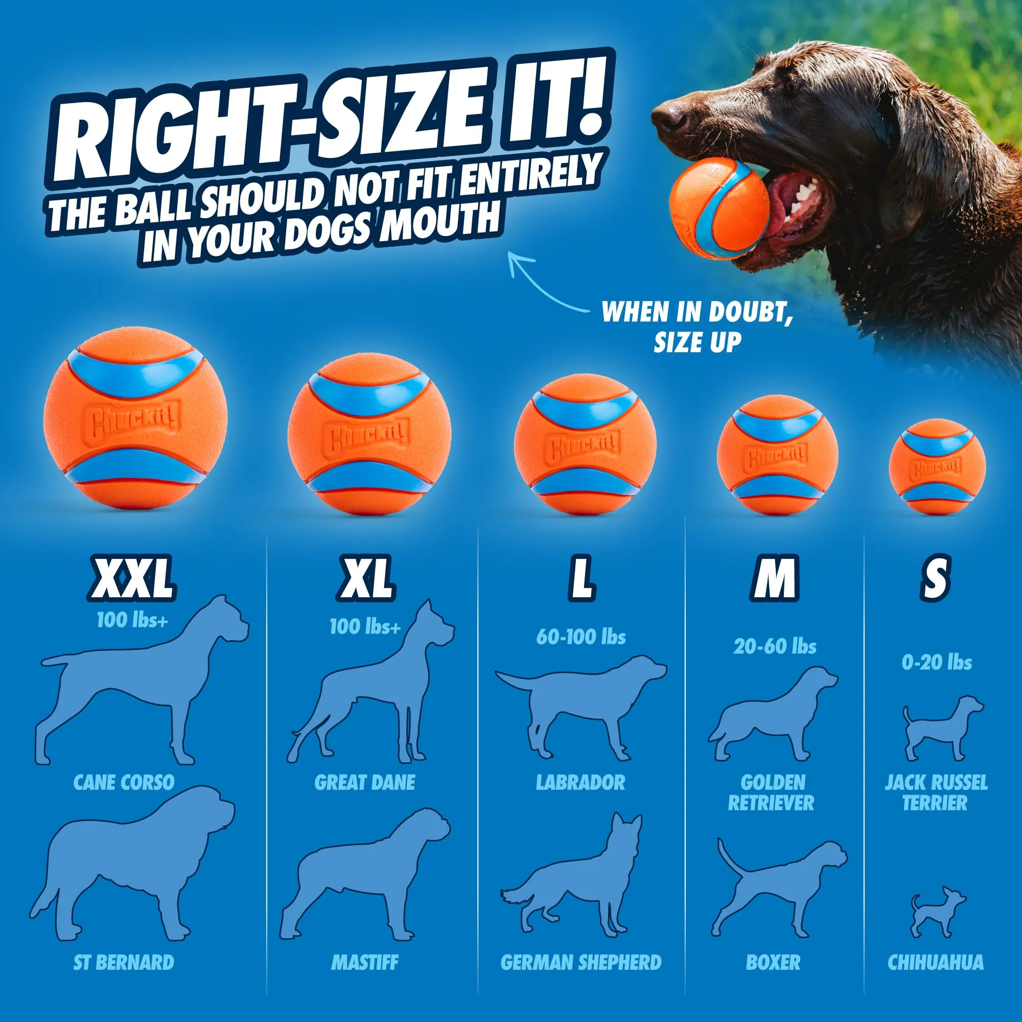 Chuckit! Ultra Ball, Large (3 Inch), 1 Count