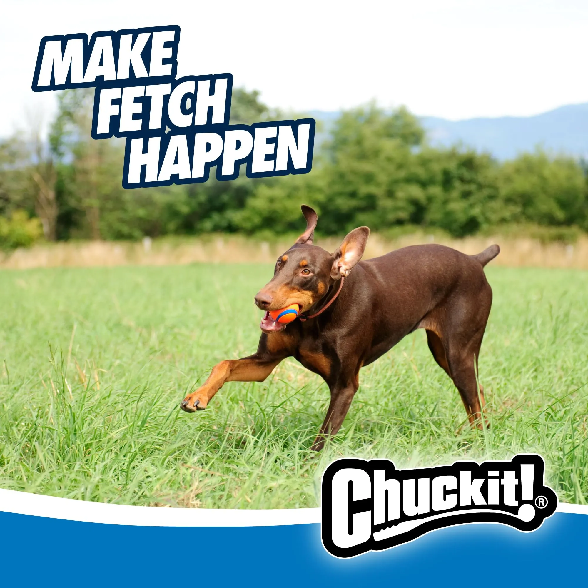 Chuckit! Ultra Ball, Large (3 Inch), 1 Count