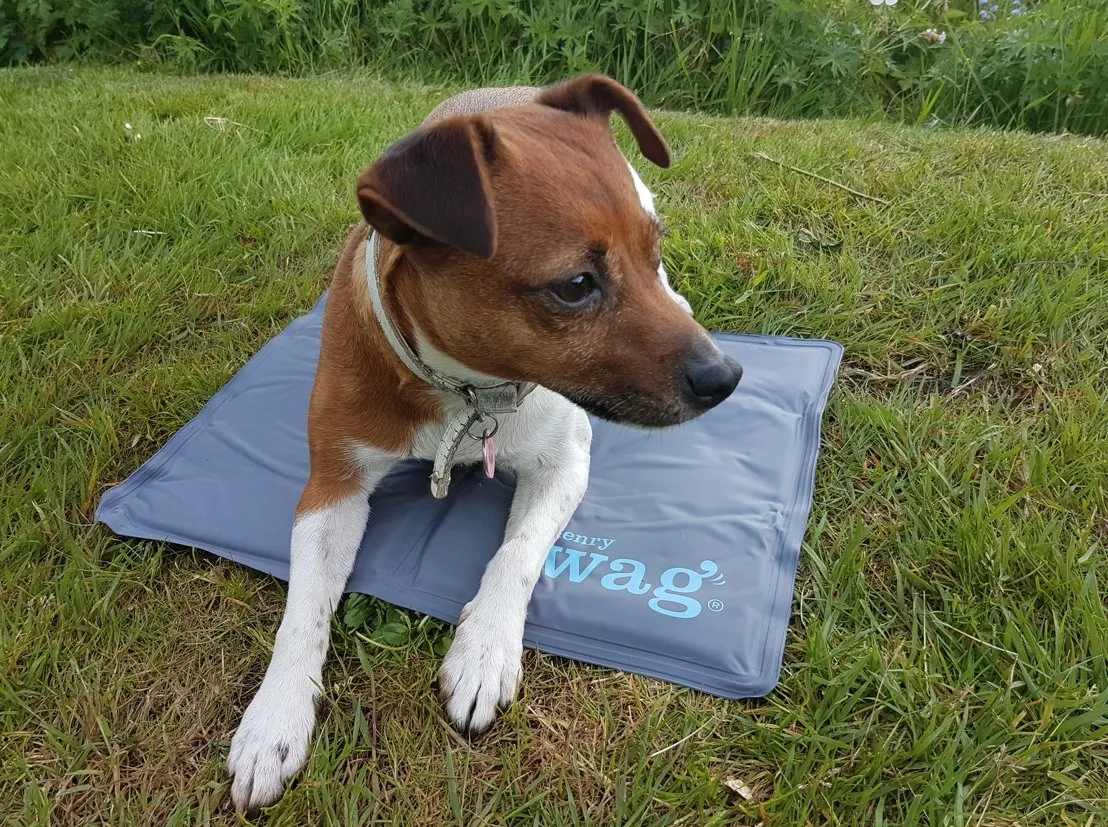 Henry Wag Pet Gel Cool Mat